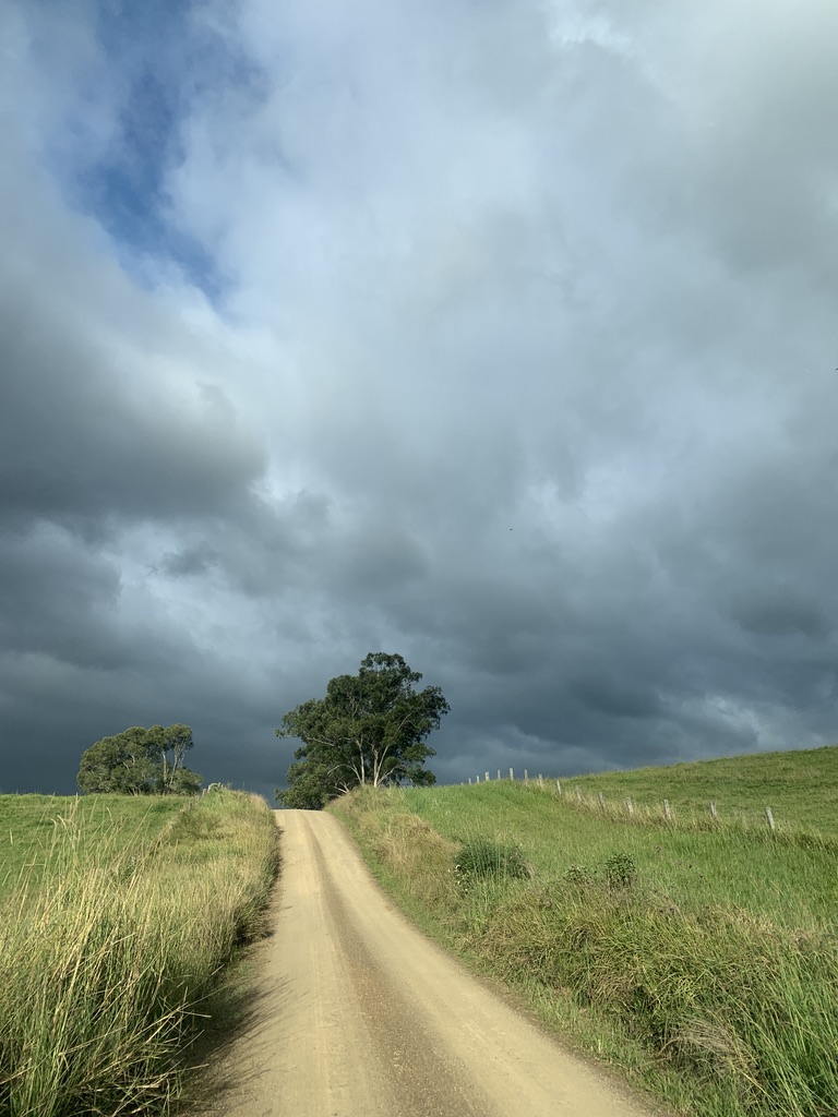 Dirt road climbing toward a stormy sky
